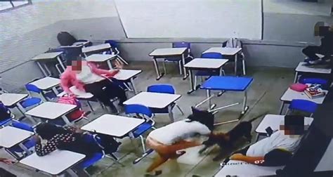 aluna cachorra|VÍDEO: cachorro invade escola e ataca aluna dentro de sala de。